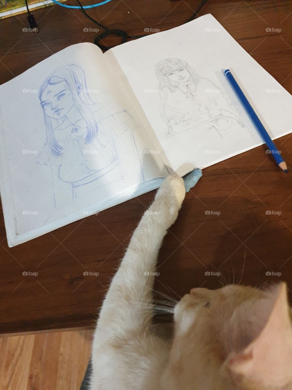 рисуем с котом
