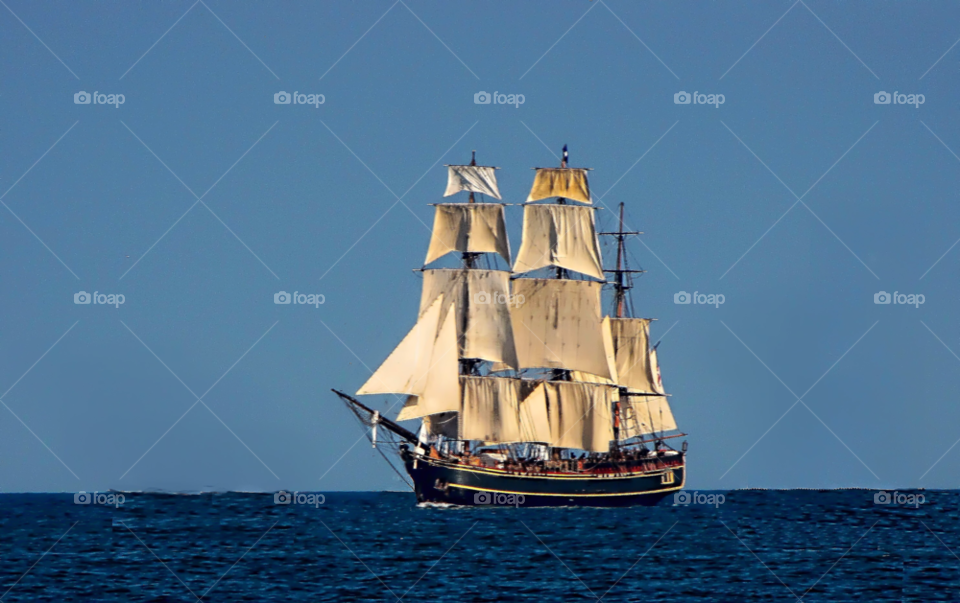 sails sailing ship hms bounty full sail by landon