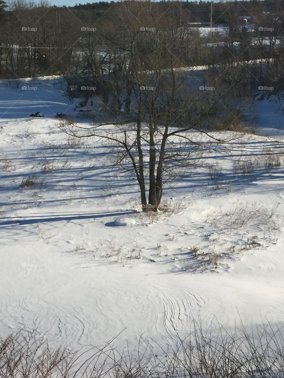 Winter backyard 