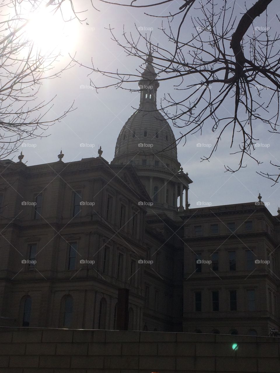 Michigan Capitol building 
