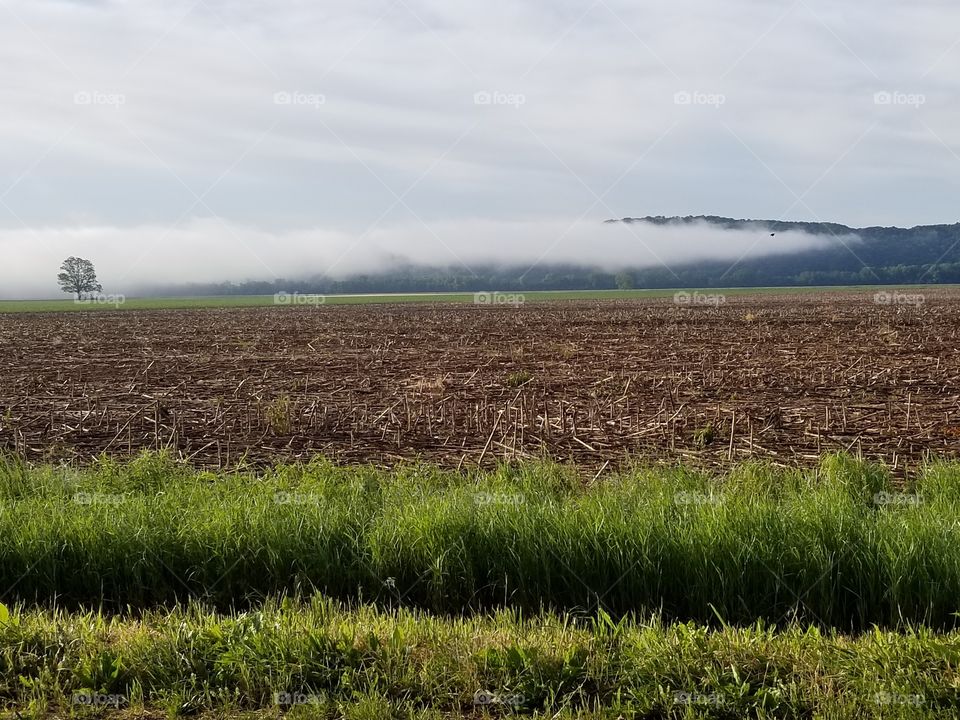 fog rolling in