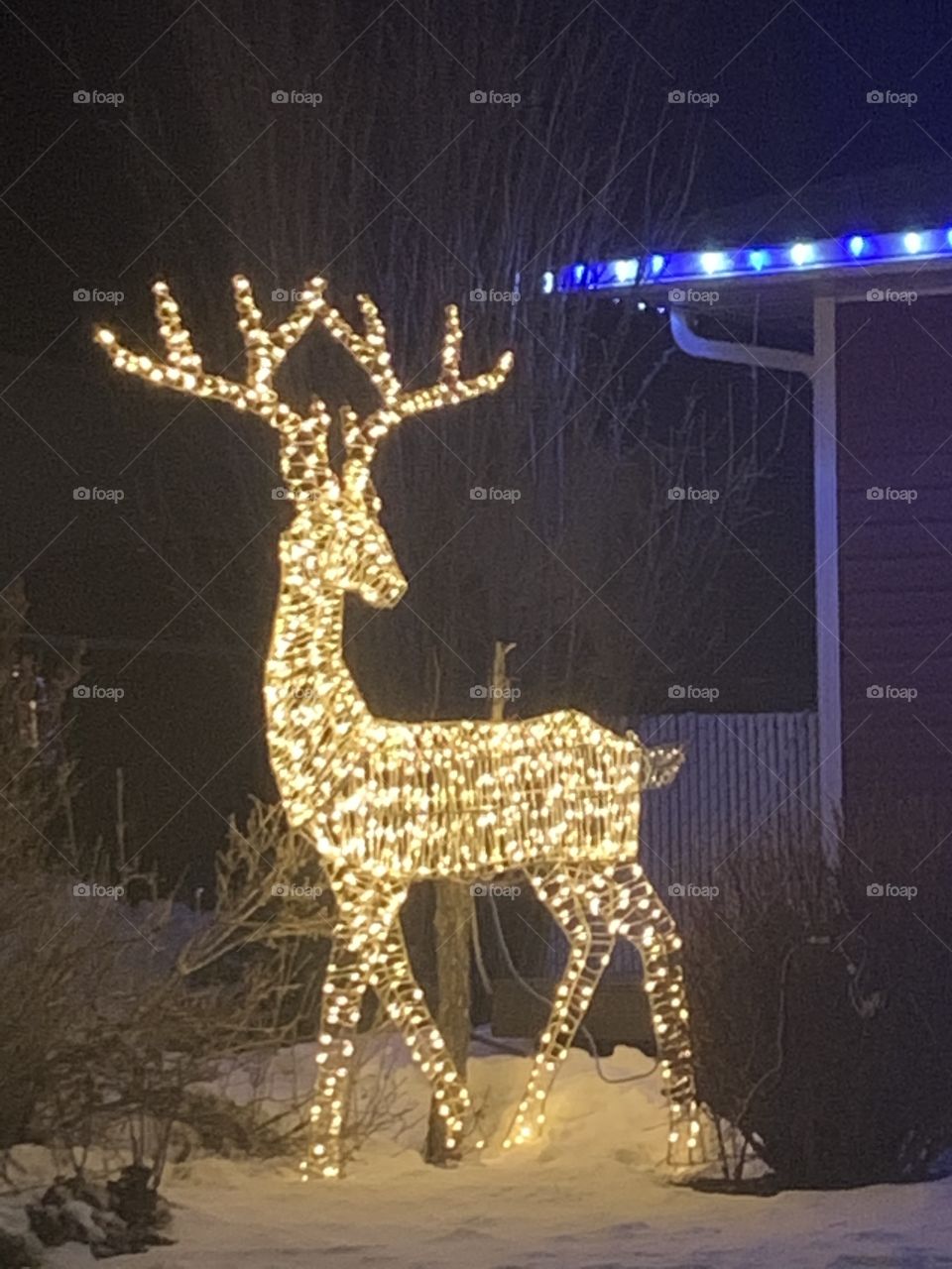 Large deer Christmas light up 