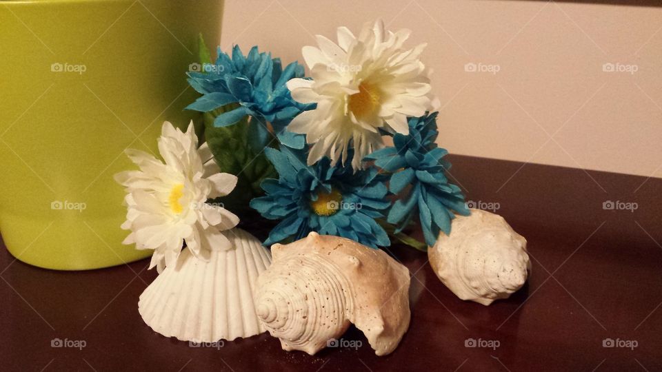 flower vase sea shell