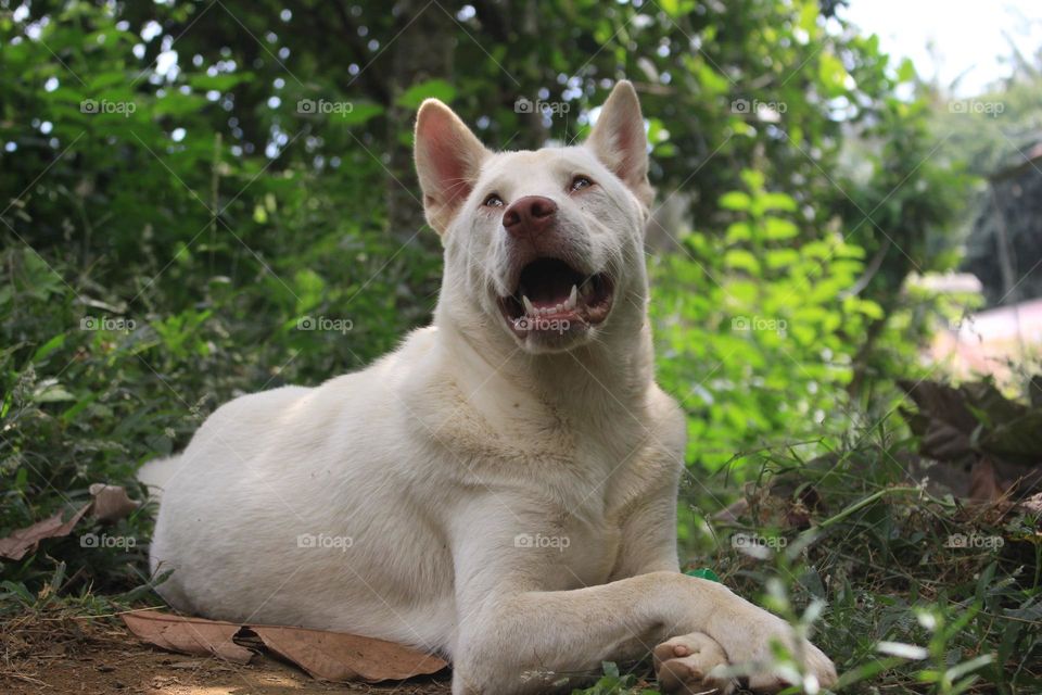 the sky look beautiful