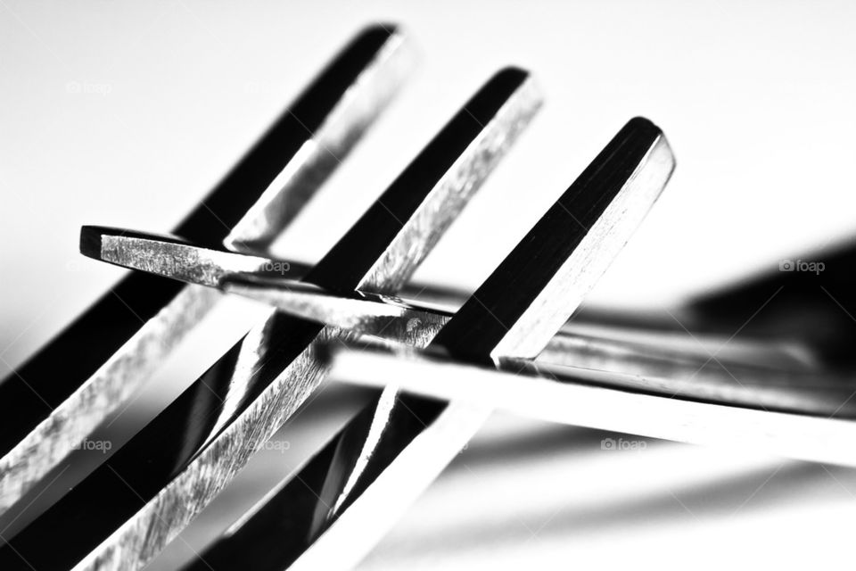 macro fork details silverware by jcha771331