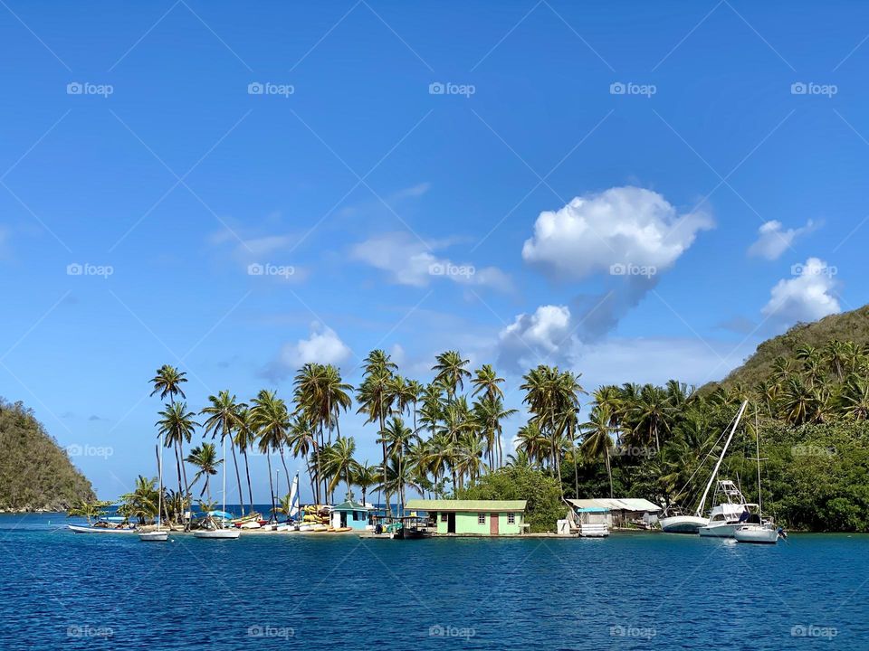 A small peninsula covered in palm trees jutting out from a hill into a harbor
