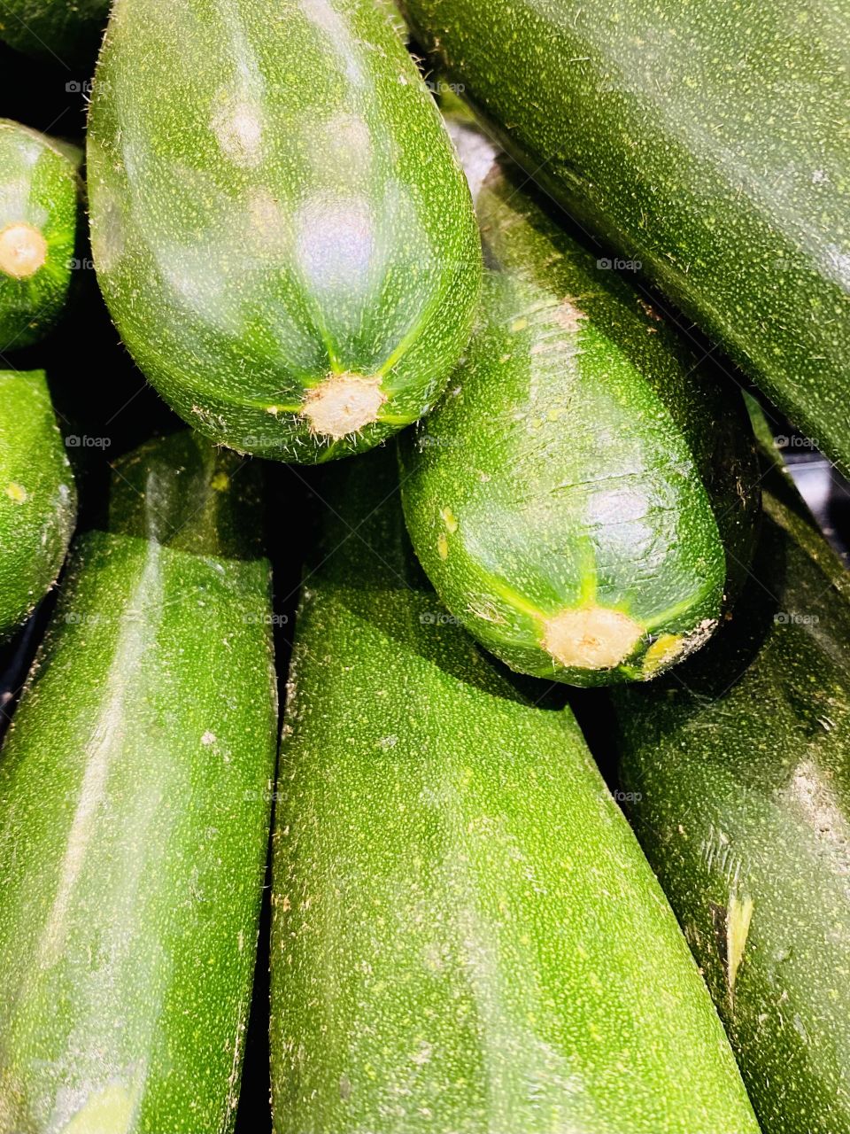 Zucchini 