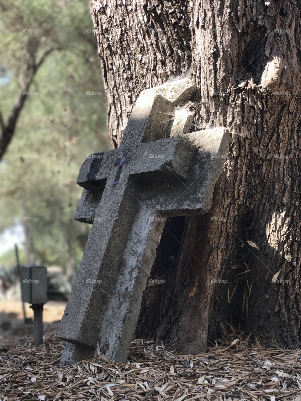 “La Cruz” ~ This cross sits against a tree in the cemetery located in the San Juan Bautista Mission Church. #Cementerio #Cruz #Cross #NoFilters 