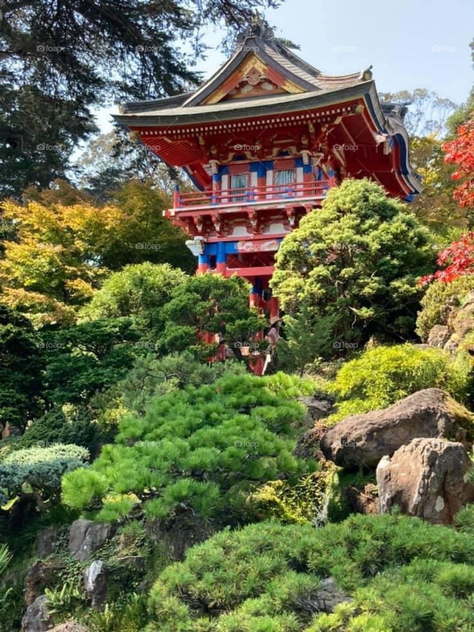 Japanese tea garden home in San Francisco California 