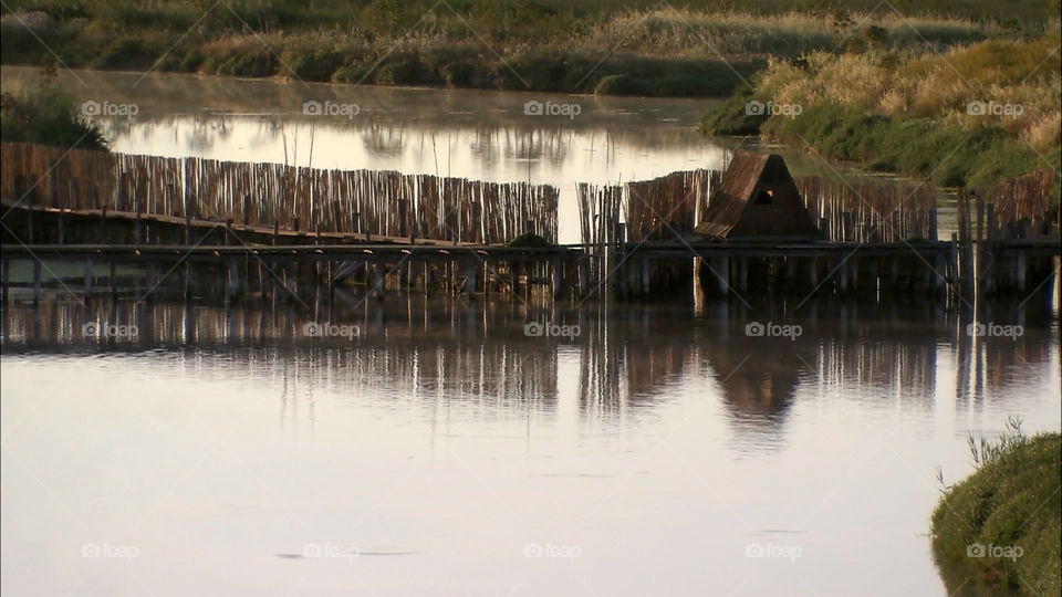 Allevamento di anguille, Sardegna