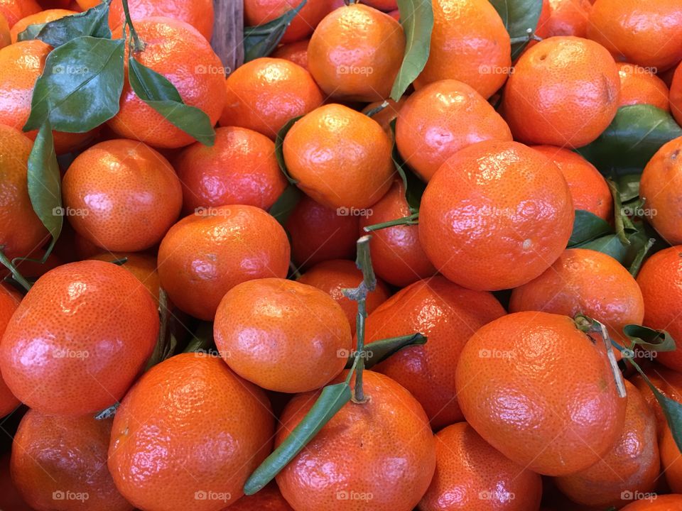 Mandarins 