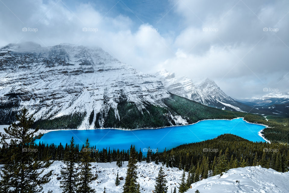 Peyto Lake Alberta Canada is known to be the bluest lake in the Rockies!