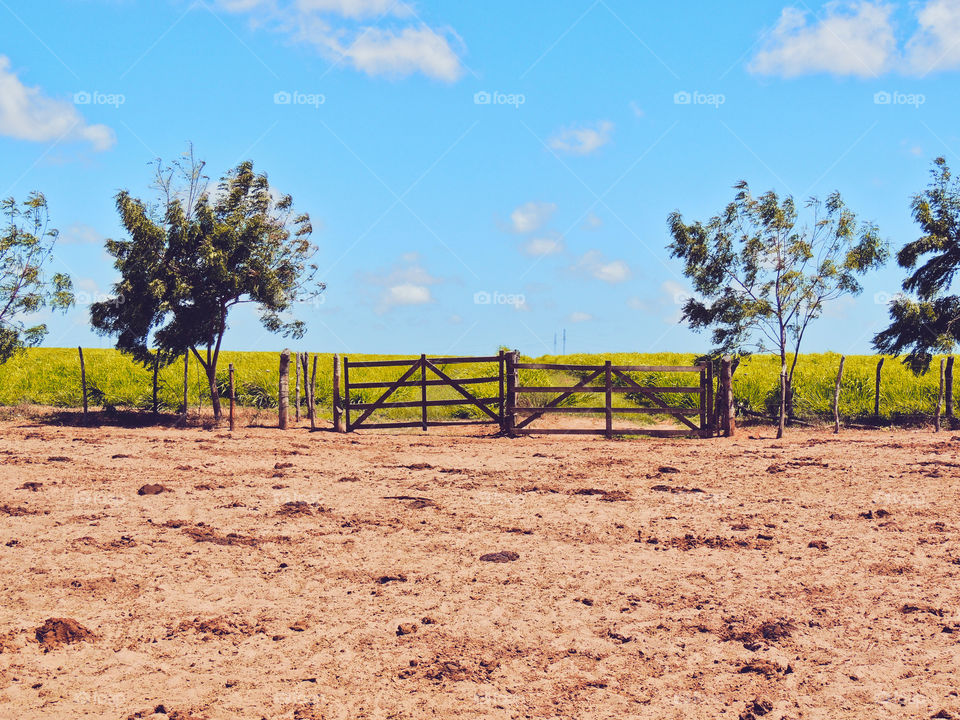 A gate made of wood to enter a farm.  It is possible to see the dry land before the gate and the green gem in the background