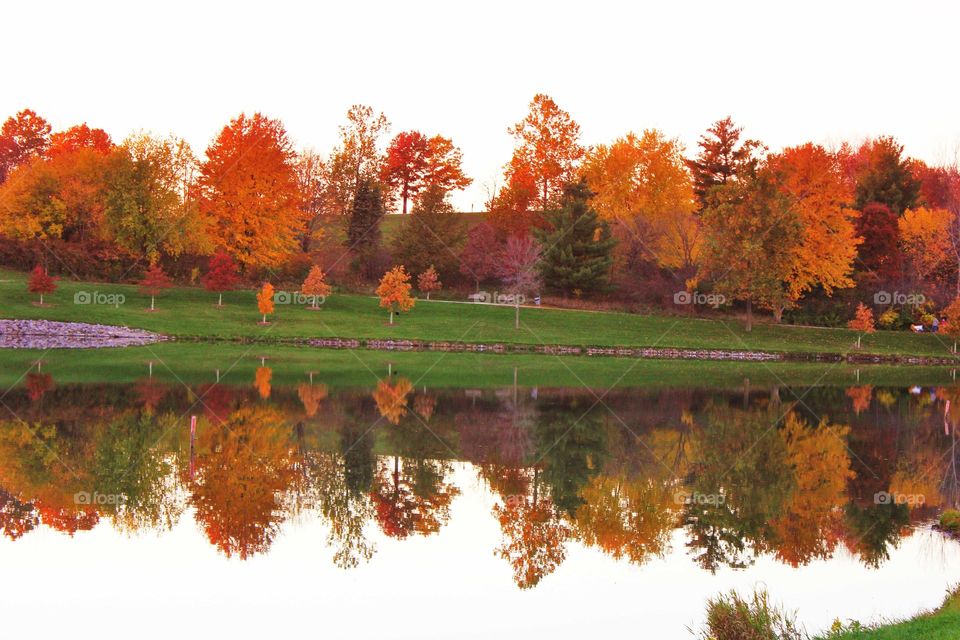 Autumn reflections 