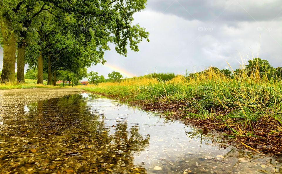 Countryside tree lined Road under a grey Cloudy sky with a rainbow reflected in the surface of the water of a puddle after the rain.