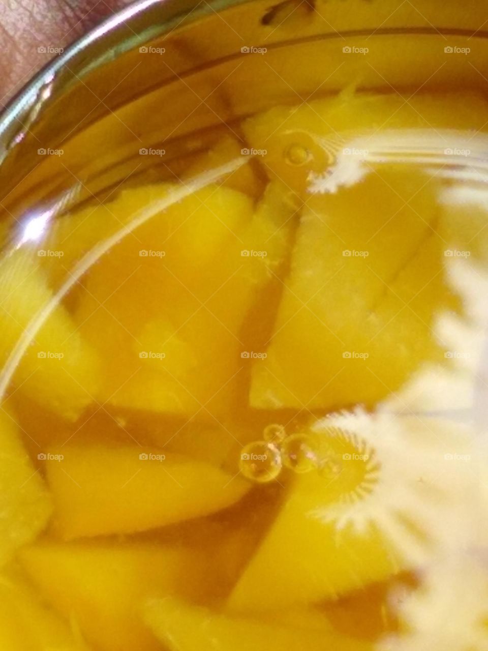 Watching the peaches and their environment.