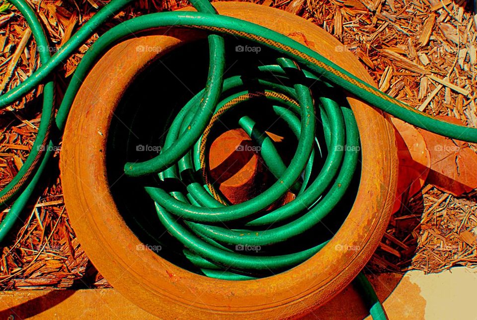 Hose