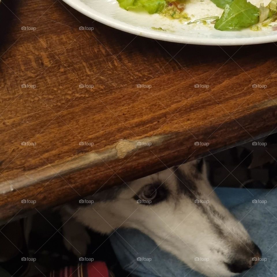 I got paid by tara to make a photo session , she even tip me.