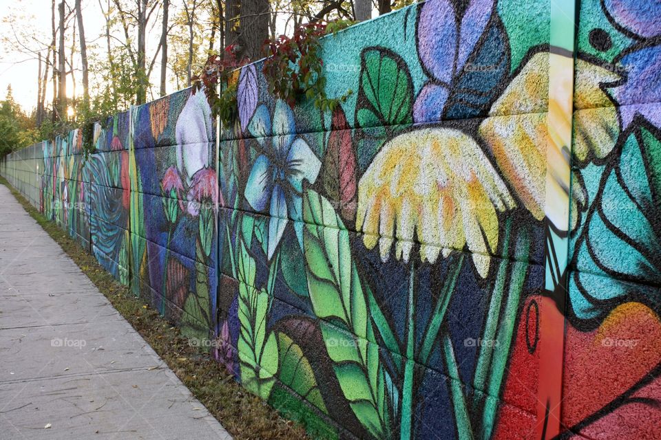 Colourful graffiti on a concrete fence