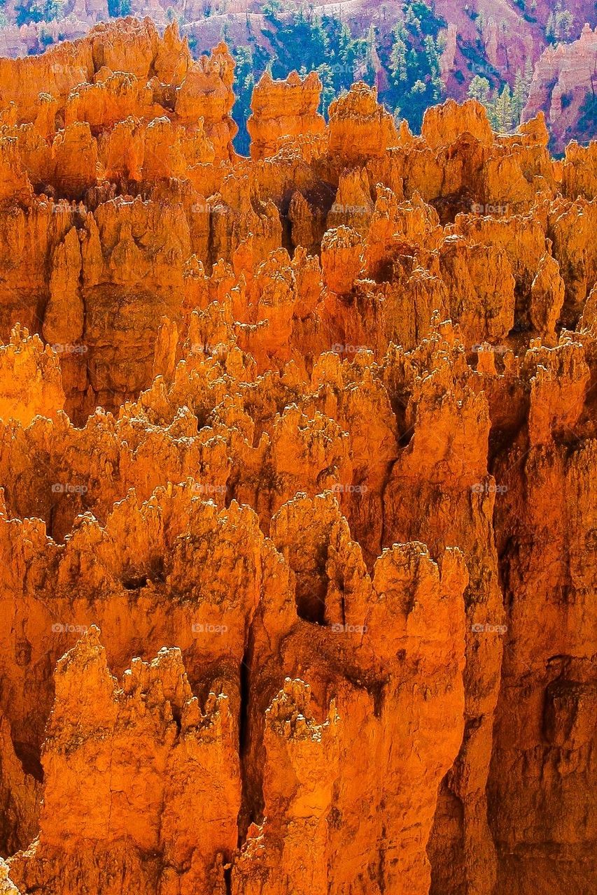 Bryce Canyon 