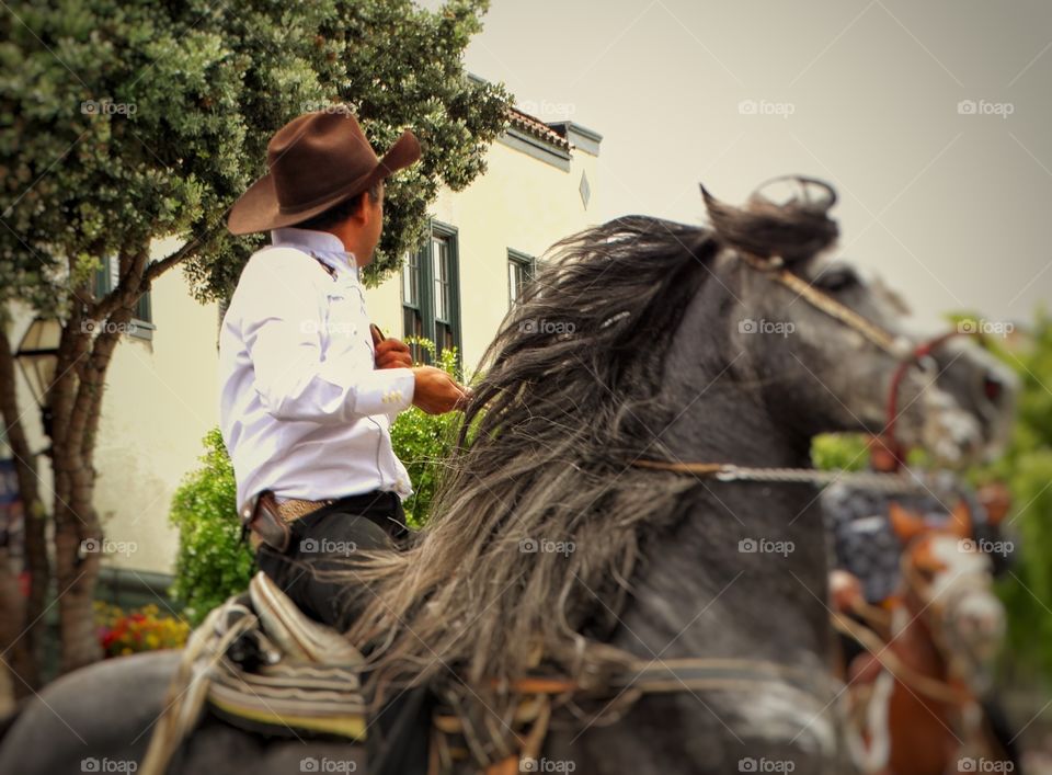 Cowboy On Bucking Horse. Cowboy Riding A Black Stallion
