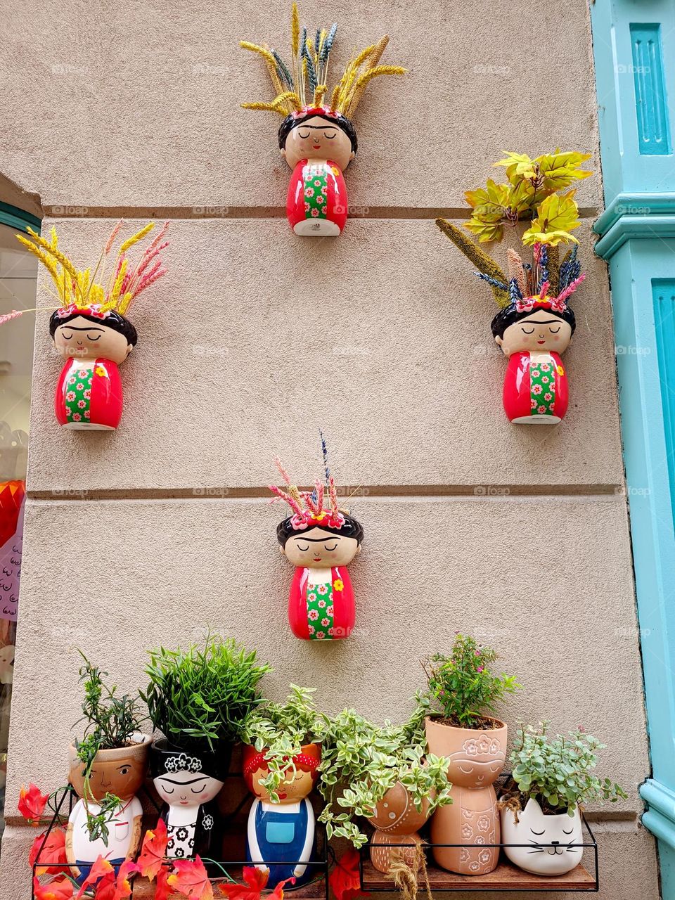 Urban city view. Different green plants in flower pots outdoor.