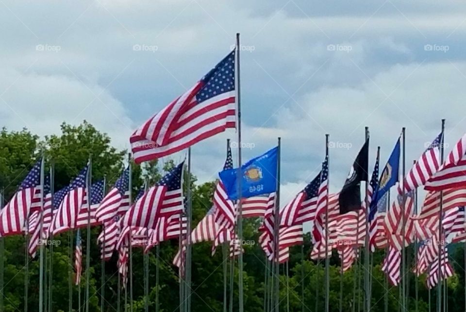 United States flags