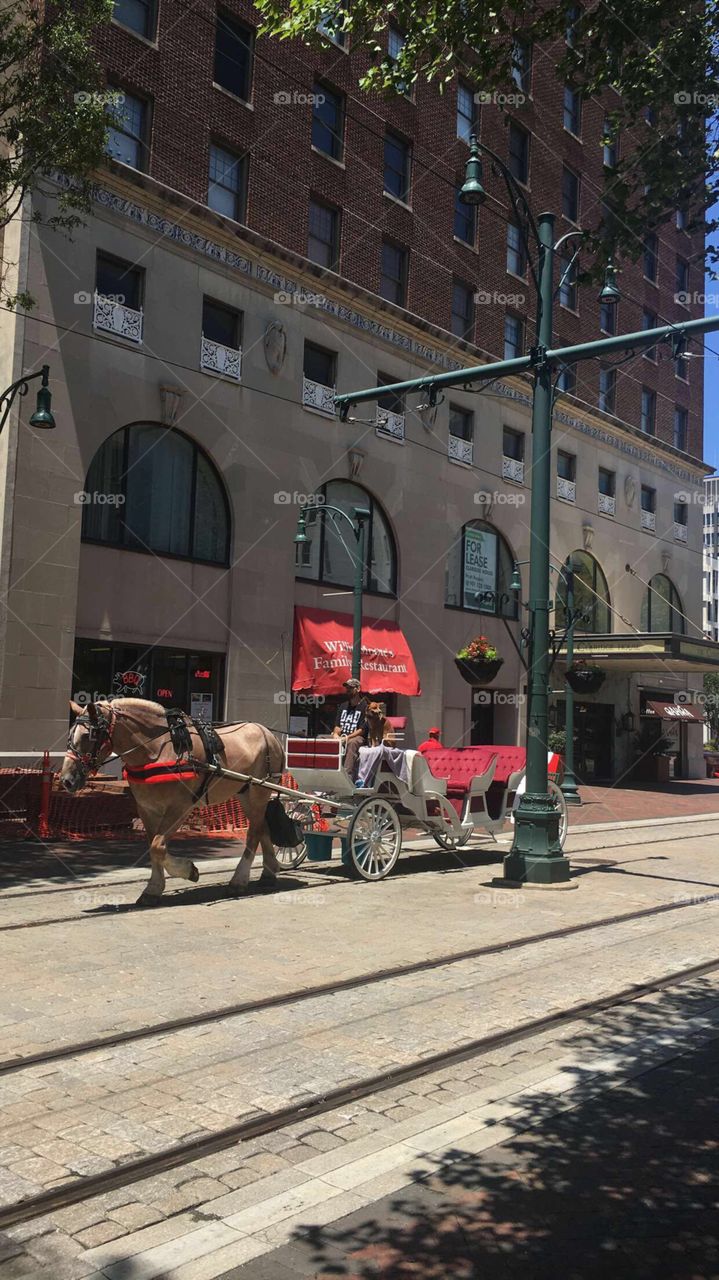 Street, City, Carriage, Tourism, Vehicle