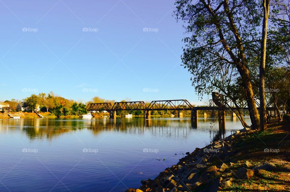 bridge over Savannah River