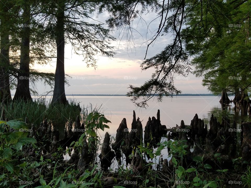 Reelfoot Lake at Sunset