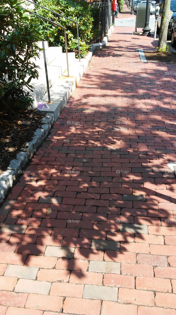 No Person, Pavement, Stone, Architecture, Guidance