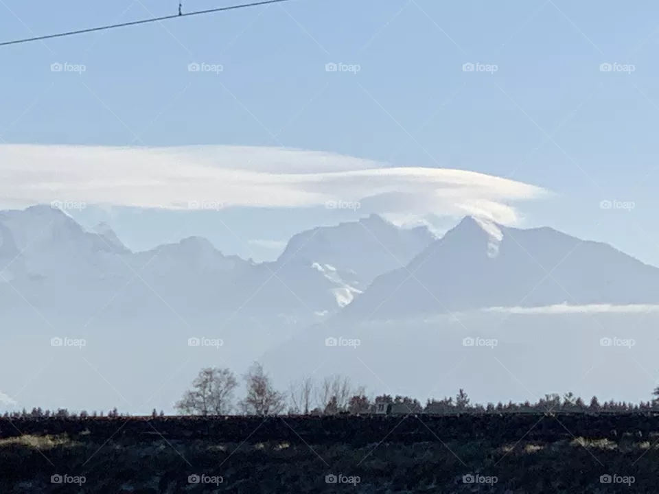 Swiss 