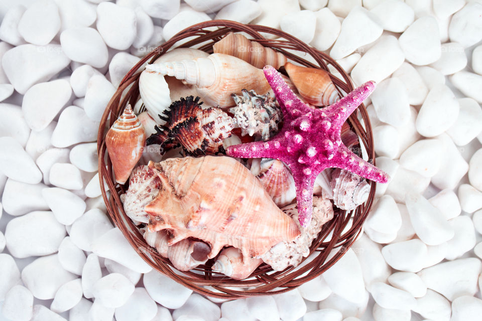 seashells and starfish lying in a basket on a background of white stones