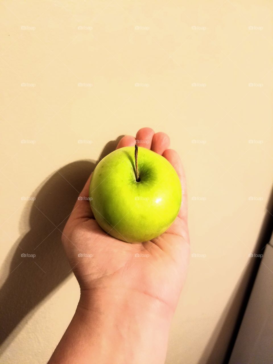 beautiful green apple