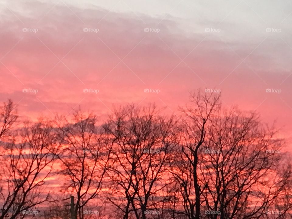 Alabama sunset 