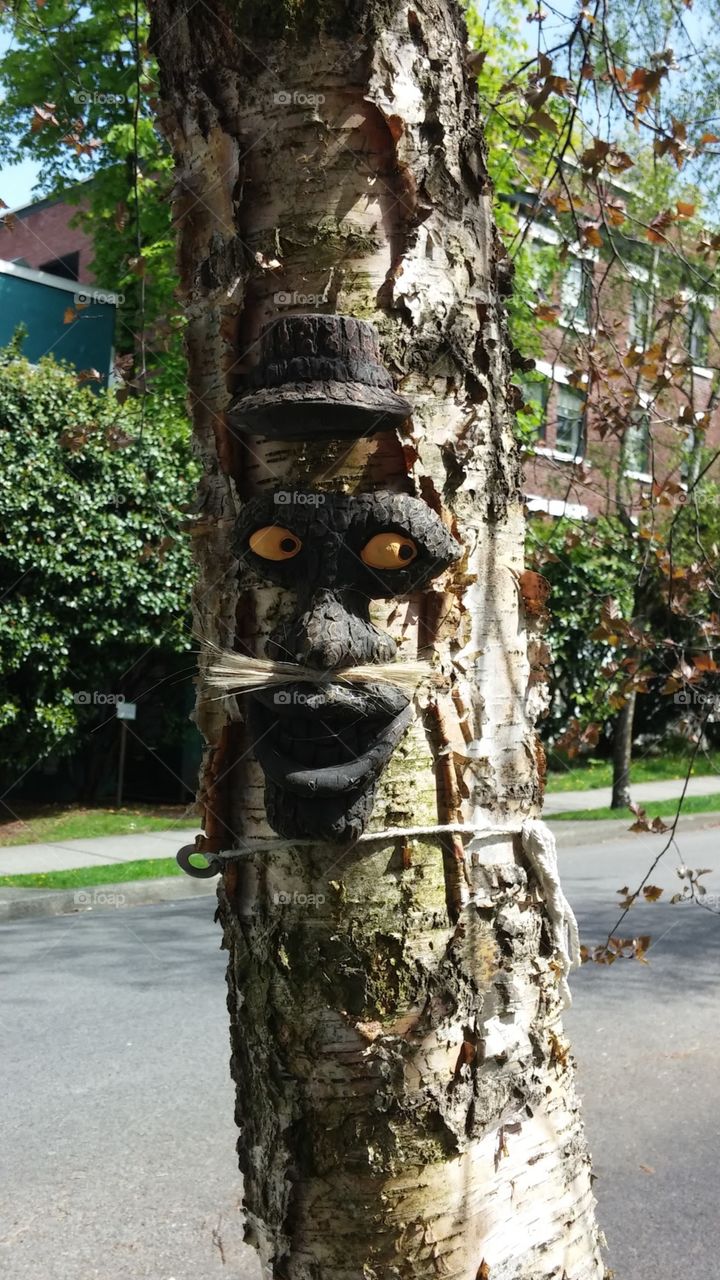 Art on a local tree