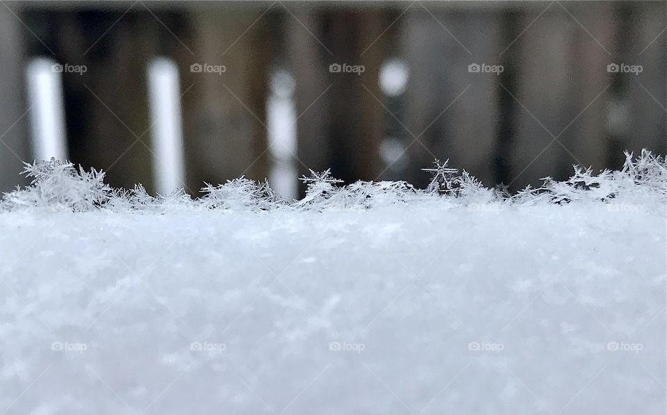 Fresh snowflakes on a fence