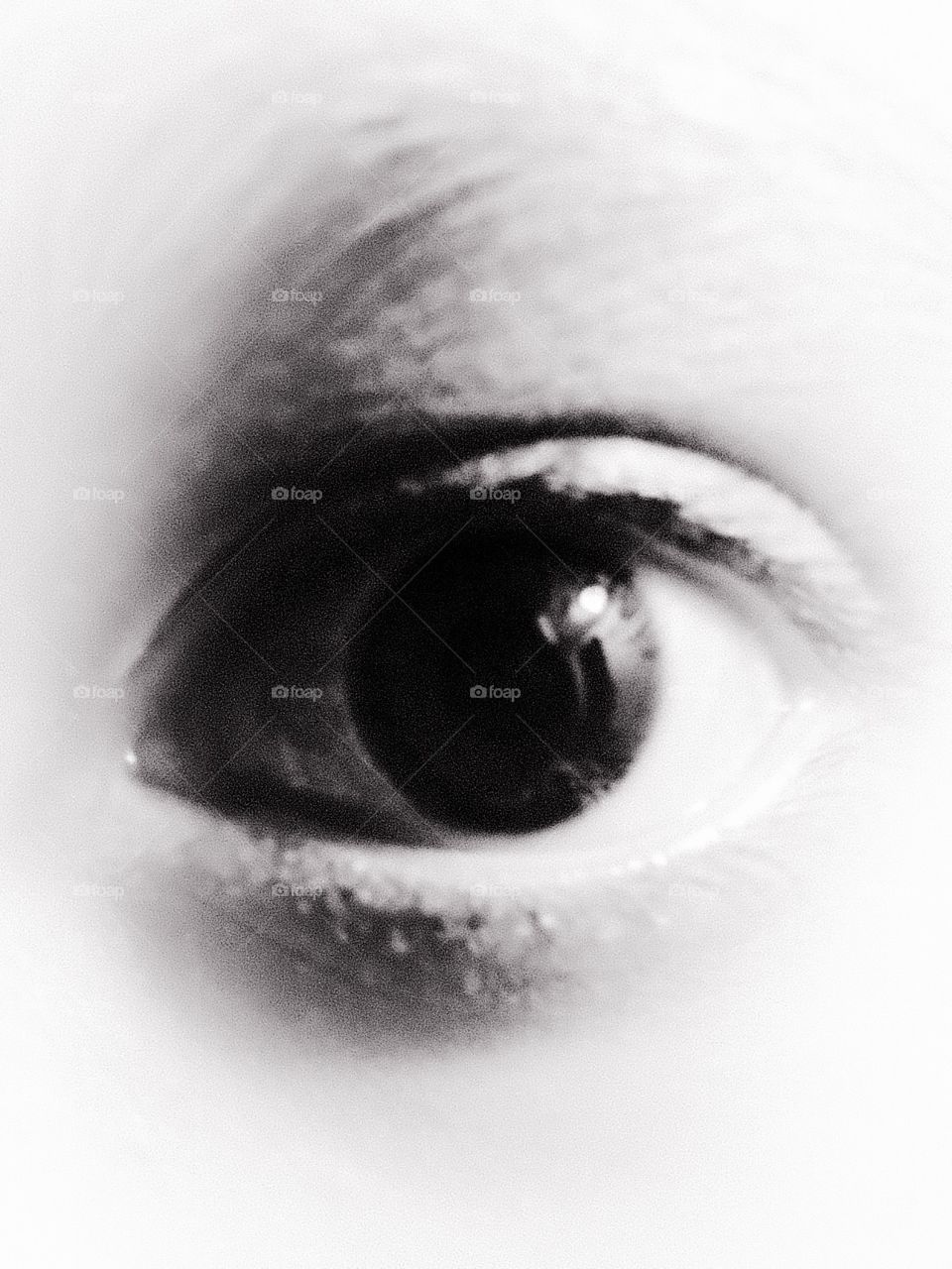 Looking through the eye