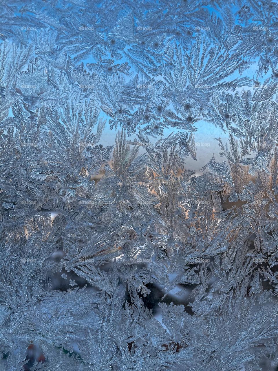 snowflakes on glass