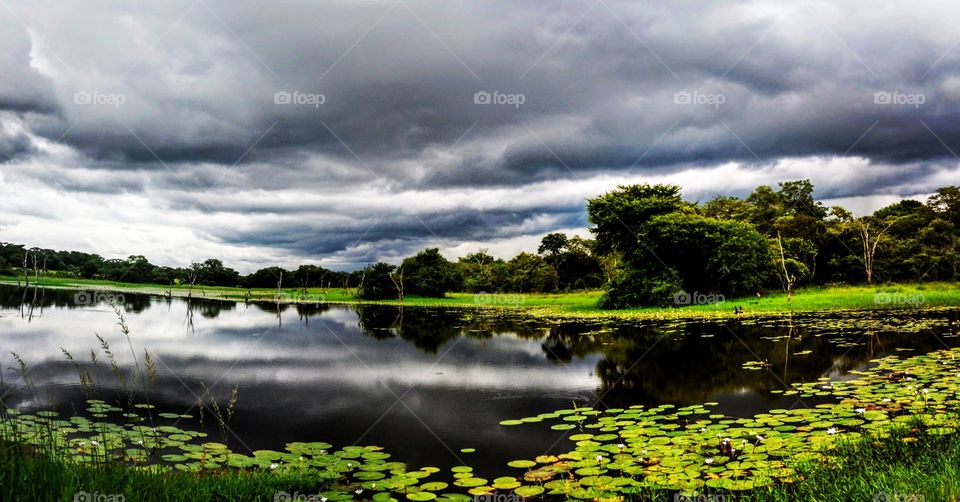 calm before the storm