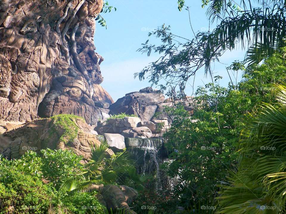 plants tree waterfall rocks by tonyalynn