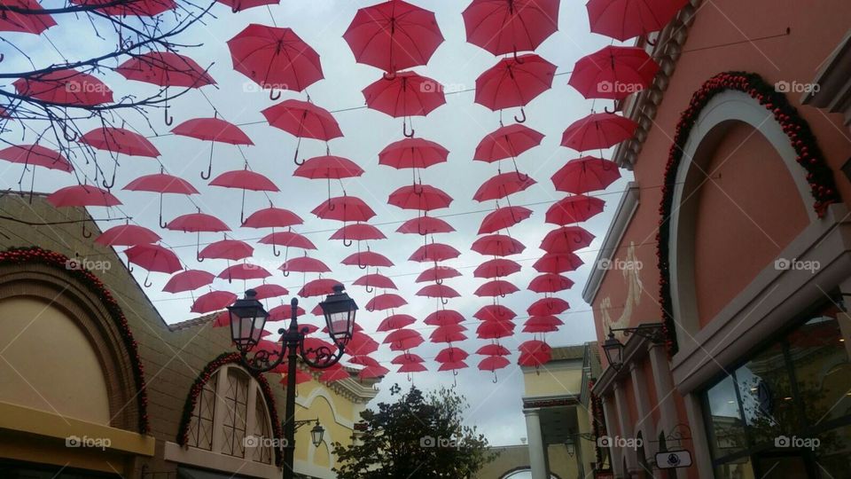 umbrella