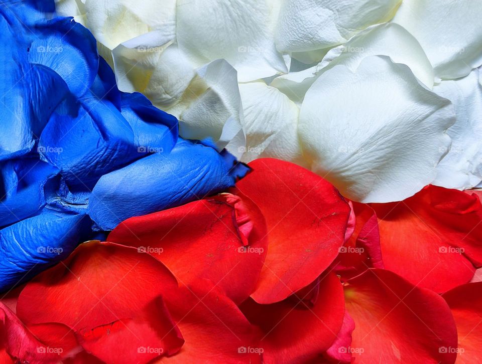 Flag of the Czech Republic.  Two horizontal stripes of white rose petals and scarlet rose petals.  An isosceles triangle of blue rose petals is located on the edge of the pole