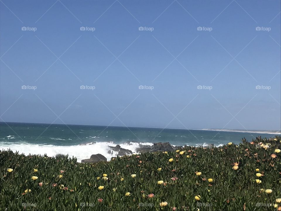 Costa do Norte, Sines, Portugal 🇵🇹