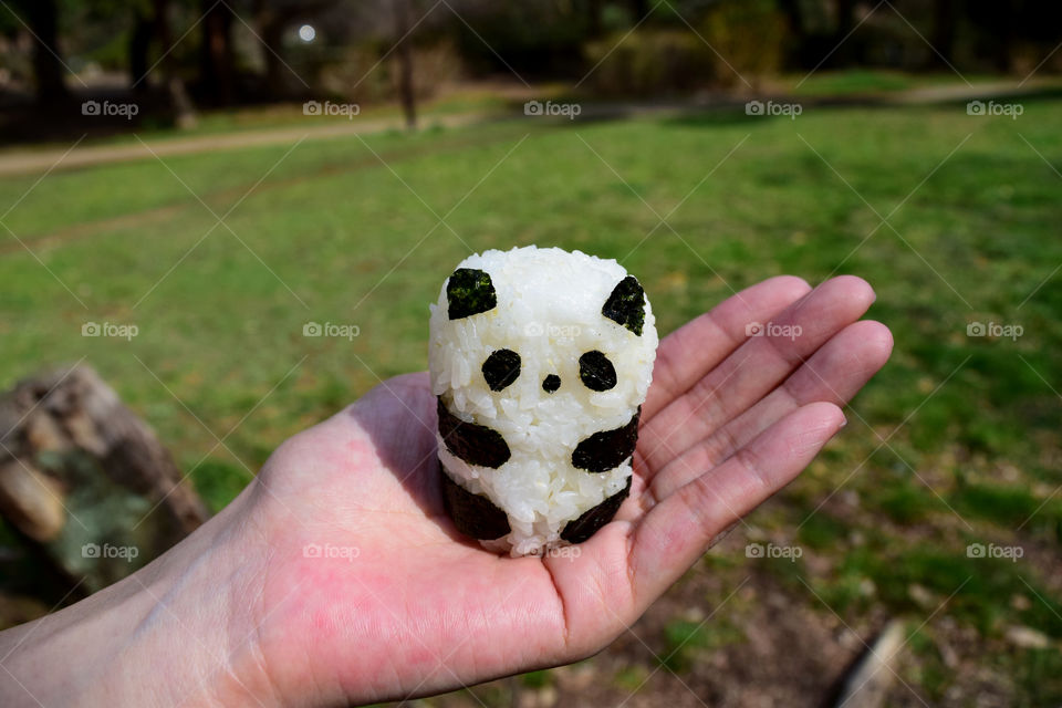 A rice ball in the shape of panda.