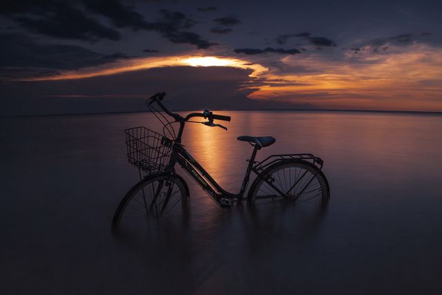 let's ride with your bicycle