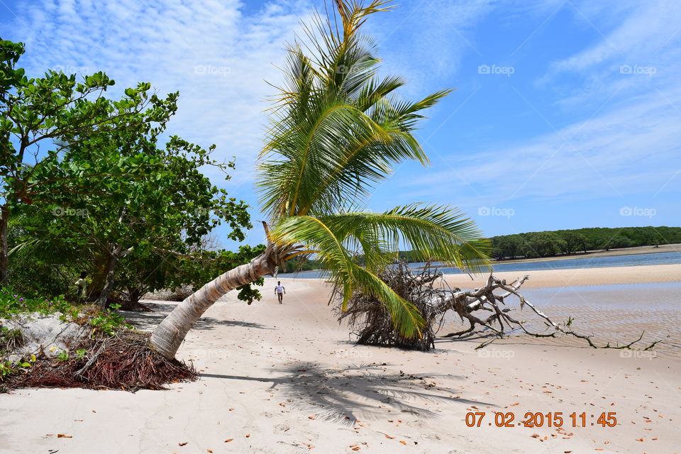Praia de Boipeba Bahia