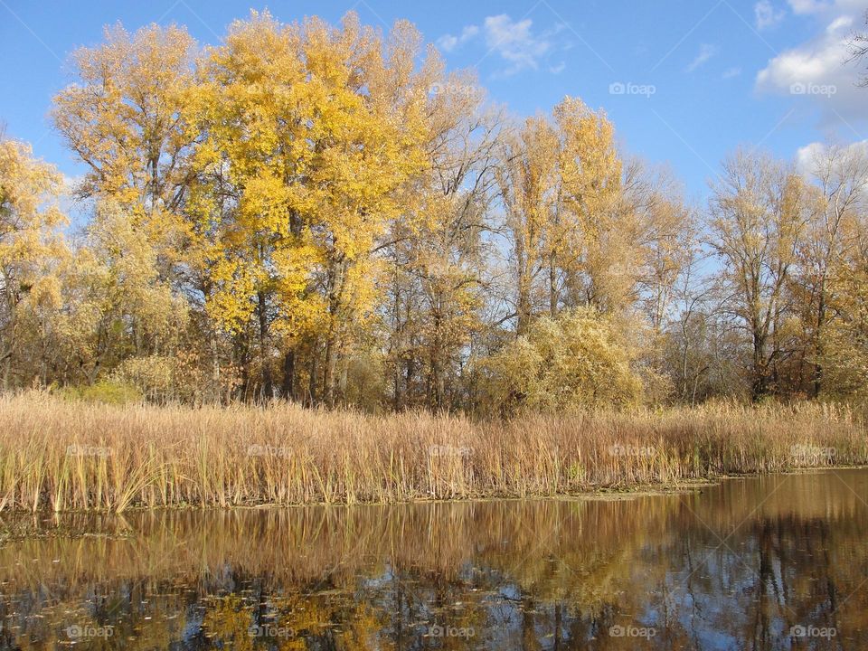 Autumn landscape