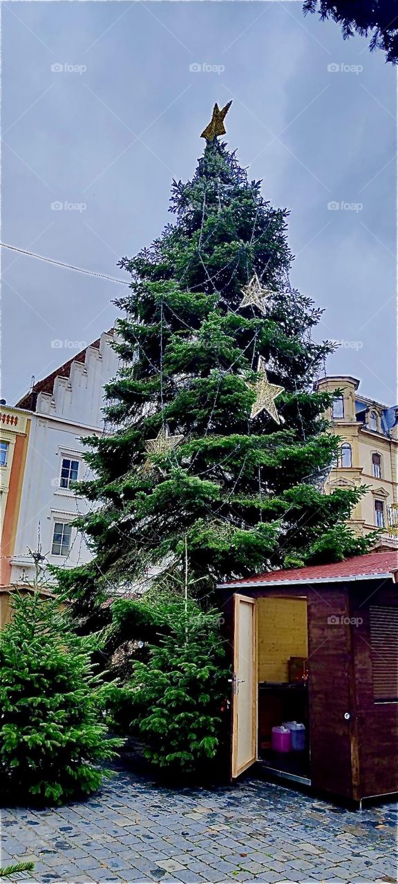 This gigantic Christmas tree is part of the decoration for the annual outdoor „Christkindlmarkt“, the „Christmas Child Market“ in the beautiful town of „Straubing“ in „Lower Bavaria“, Germany. 2023. Hypnotic Productions
