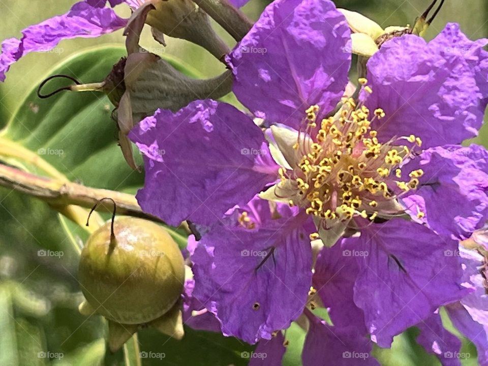 Editors ‘ choice : Photo of the week,My garden.